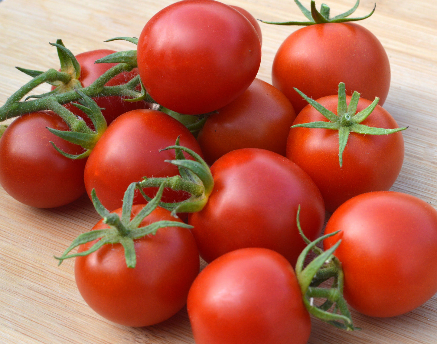 Tomato Seeds - Gardeners Delight Heritage Tomatoes | 15 Seeds in Pictorial Packet With Growing Instructions | Always Dispatched Next Business Day