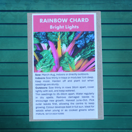 Allotment Gardener Gift Set – Premium Vegetable Seed Collection Perfect for Allotments | Eco-Friendly Gift | Always Dispatched Next Business Day