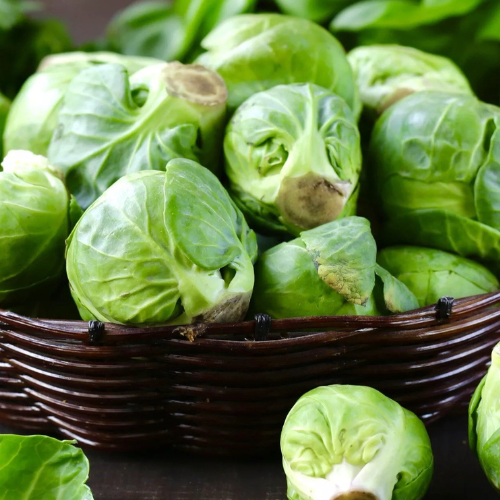 Brussel Sprouts Vegetable Seeds | Heritage 'Evesham Special' 150 Brussels Sprout Seeds in Pictorial Packet With Growing Instructions | Always Dispatched Next Business Day