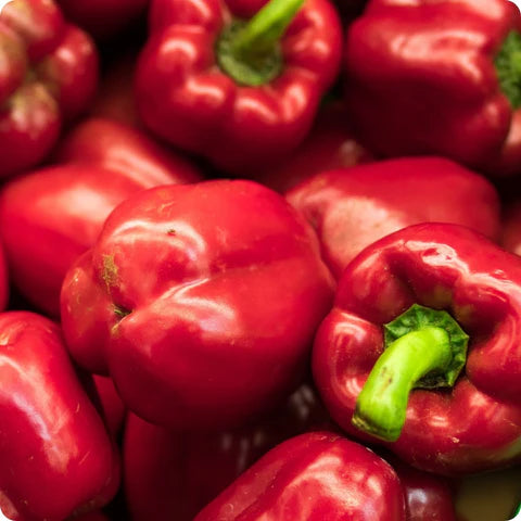 California Wonder Heritage Bell Pepper Seeds | 25 Premium Seeds in Pictorial Packet With Growing Instructions | Always Dispatched Next Business Day