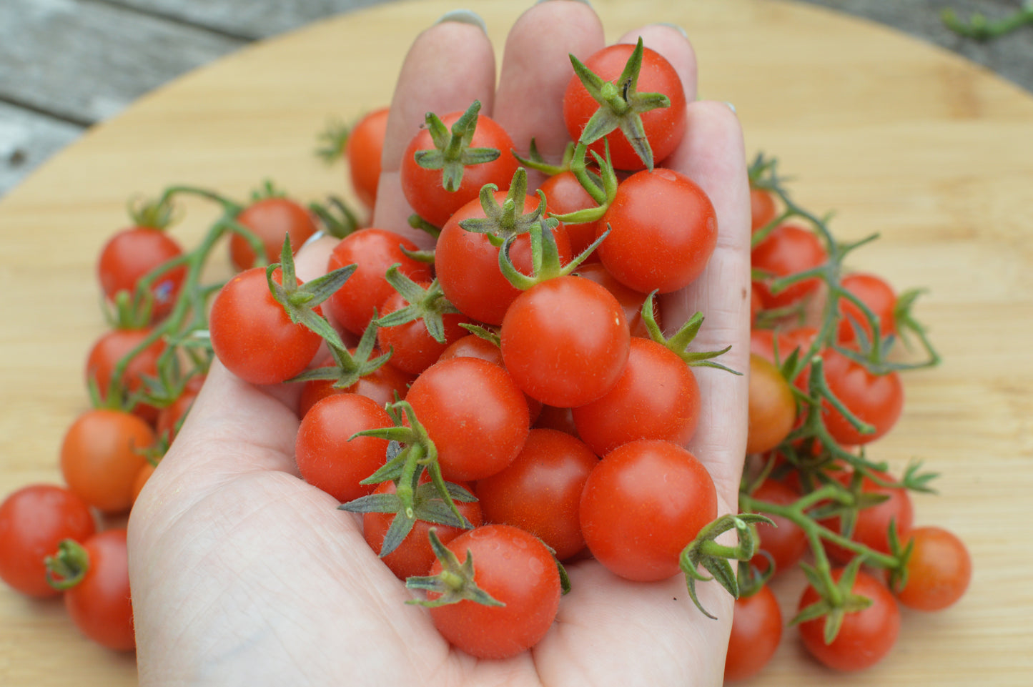 Tomato Seeds - 'Sweetie' Cherry Tomato Seeds | Sweet Millions Open Pollinated Variety | 25 Seeds In Pictorial Packet With Growing Instructions | Always Next Business Day Dispatch