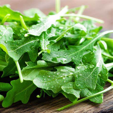 Rocket, Arugula Salad Seeds | Kitchen Garden Herb | 2000 seeds in Pictorial Packet With Growing Instructions | Always Dispatched Next Business Day & Free Shipping