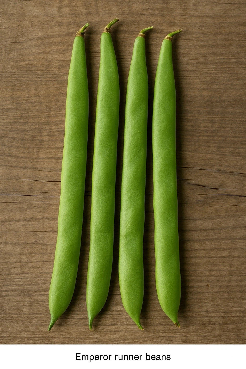 Runner Bean Vegetable Seeds | 20 Scarlet Emperor Heritage Vegetable Seeds in Pictorial Packet With Growing Instructions | Always Dispatched Next Business Day