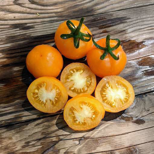 Tomato Seeds - Heritage Ola Polka | Dwarf for Pots, Containers, Patios | 20 Seeds in Pictorial Packet With Growing Instructions | Always Dispatched Next Business Day