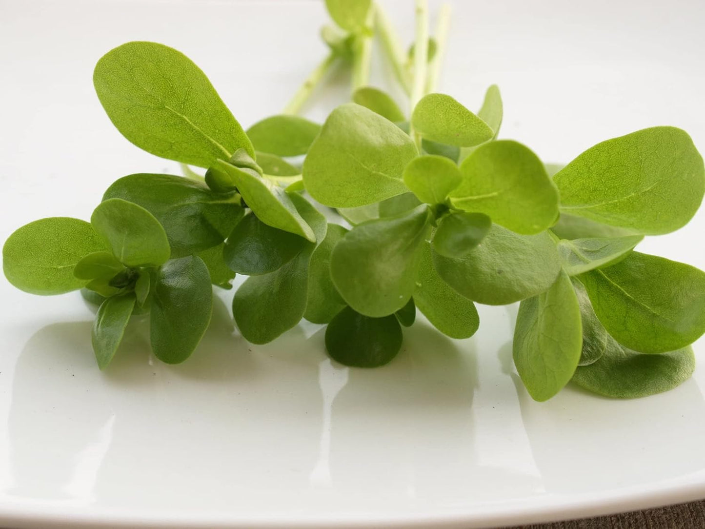 Purslane Seeds - Golden Herb | 1500 Seeds in Pictorial Packet With Growing Instructions | Always Dispatched Next Business Day