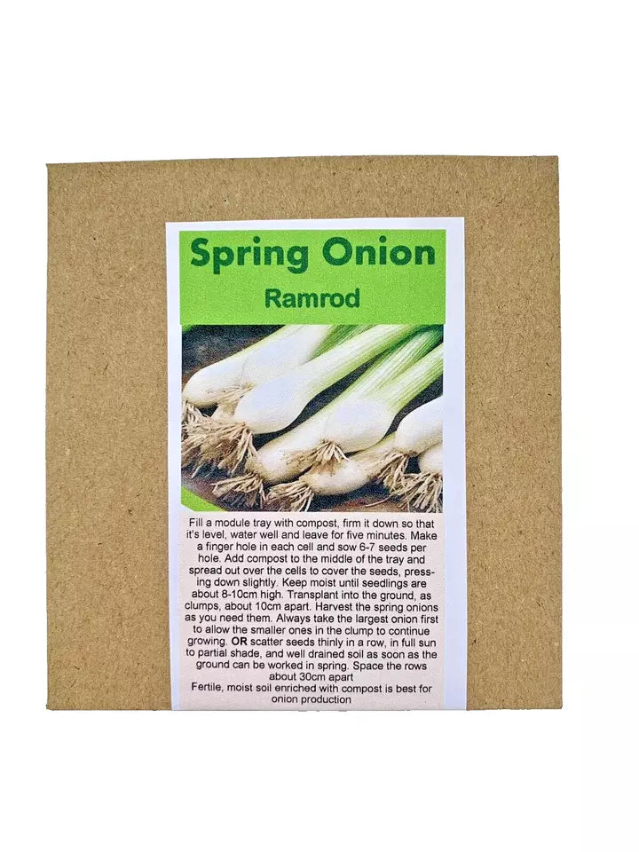 Spring Onion - Ramrod | 250 Salad Onion Seeds in Pictorial Packet With Growing Instructions | Always Dispatched Next Business Day