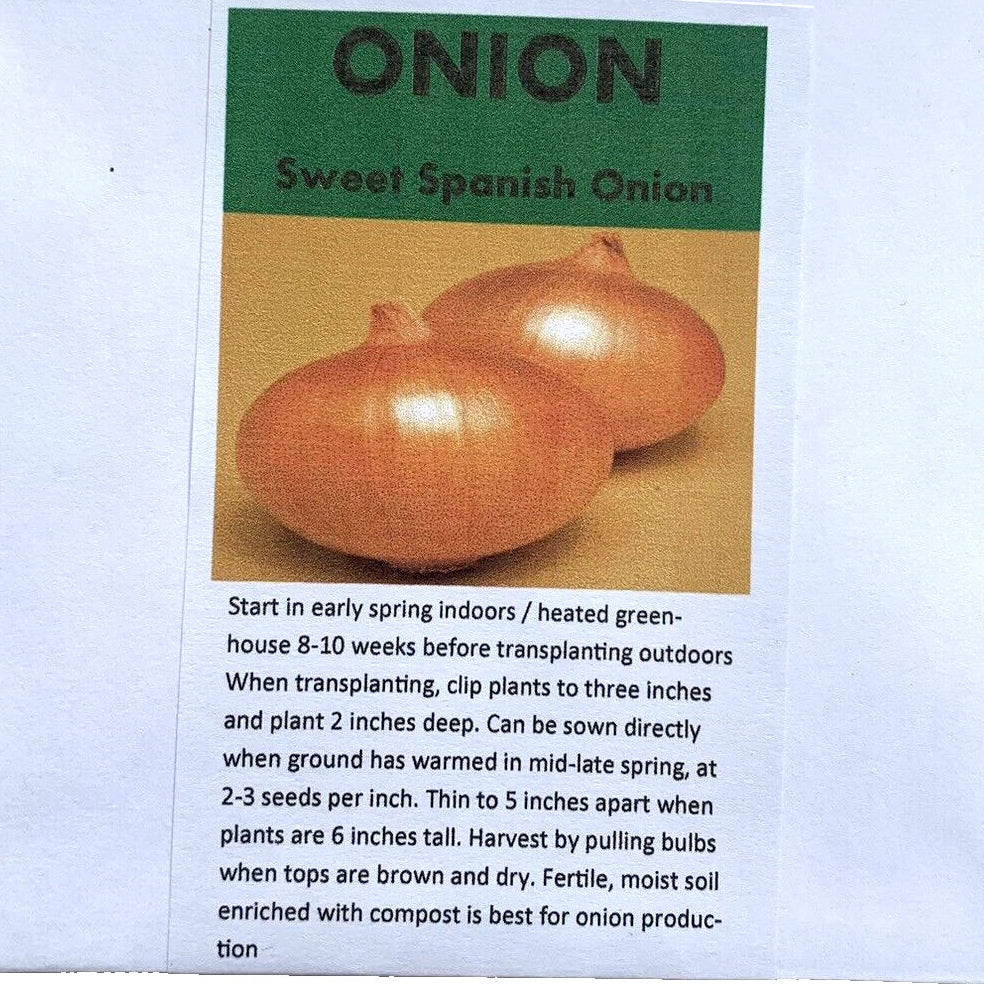Onion Seeds - Sweet Spanish Giant Vegetable | 100 Seeds in Pictorial Packet With Growing Instructions | Always Dispatched Next Business Day