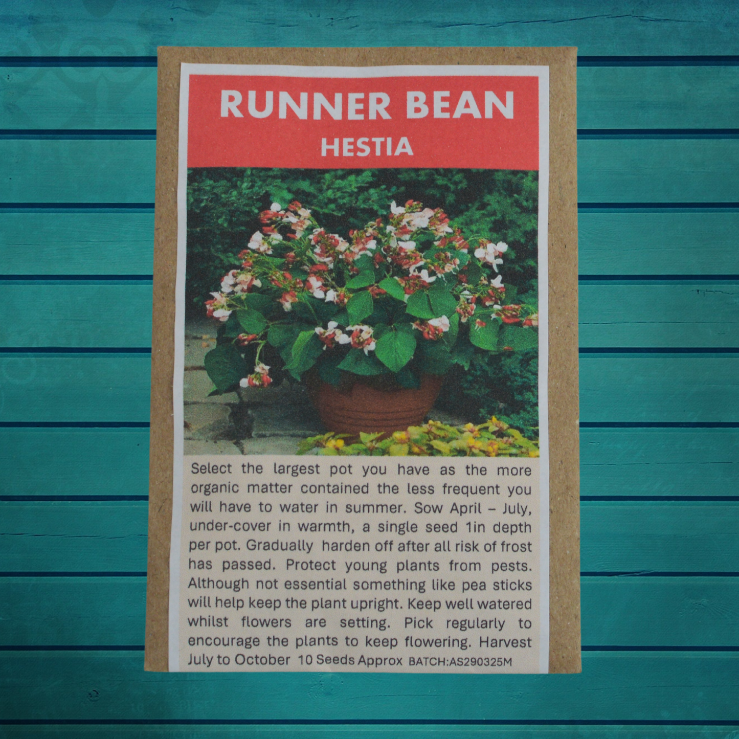 Container Gardener Seed Gift Set | 5 Seed Varieties in Jute Bag | Eco-Friendly Gardening Gift UK