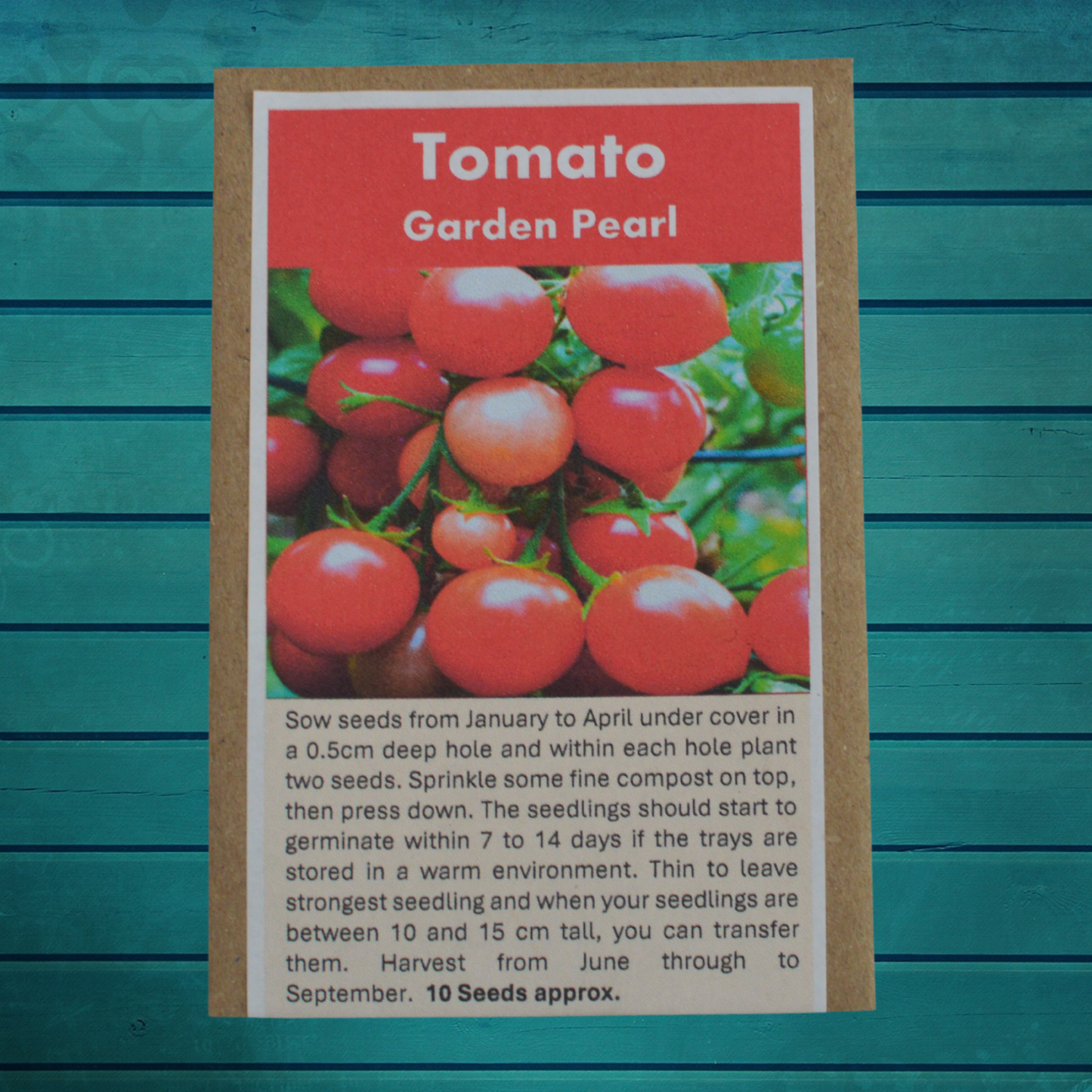 Container Gardener Seed Gift Set | 5 Seed Varieties in Jute Bag | Eco-Friendly Gardening Gift UK