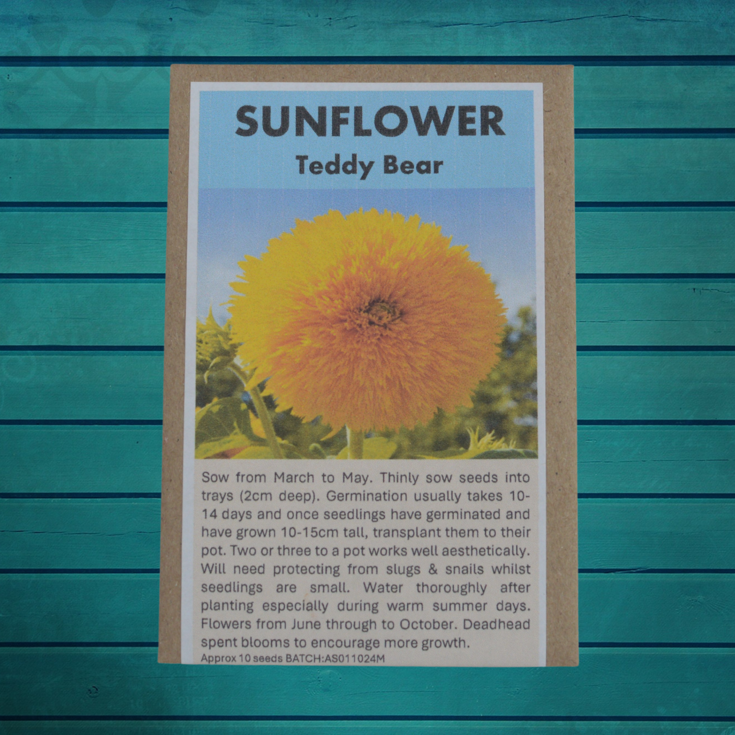 Container Gardener Seed Gift Set | 5 Seed Varieties in Jute Bag | Eco-Friendly Gardening Gift UK