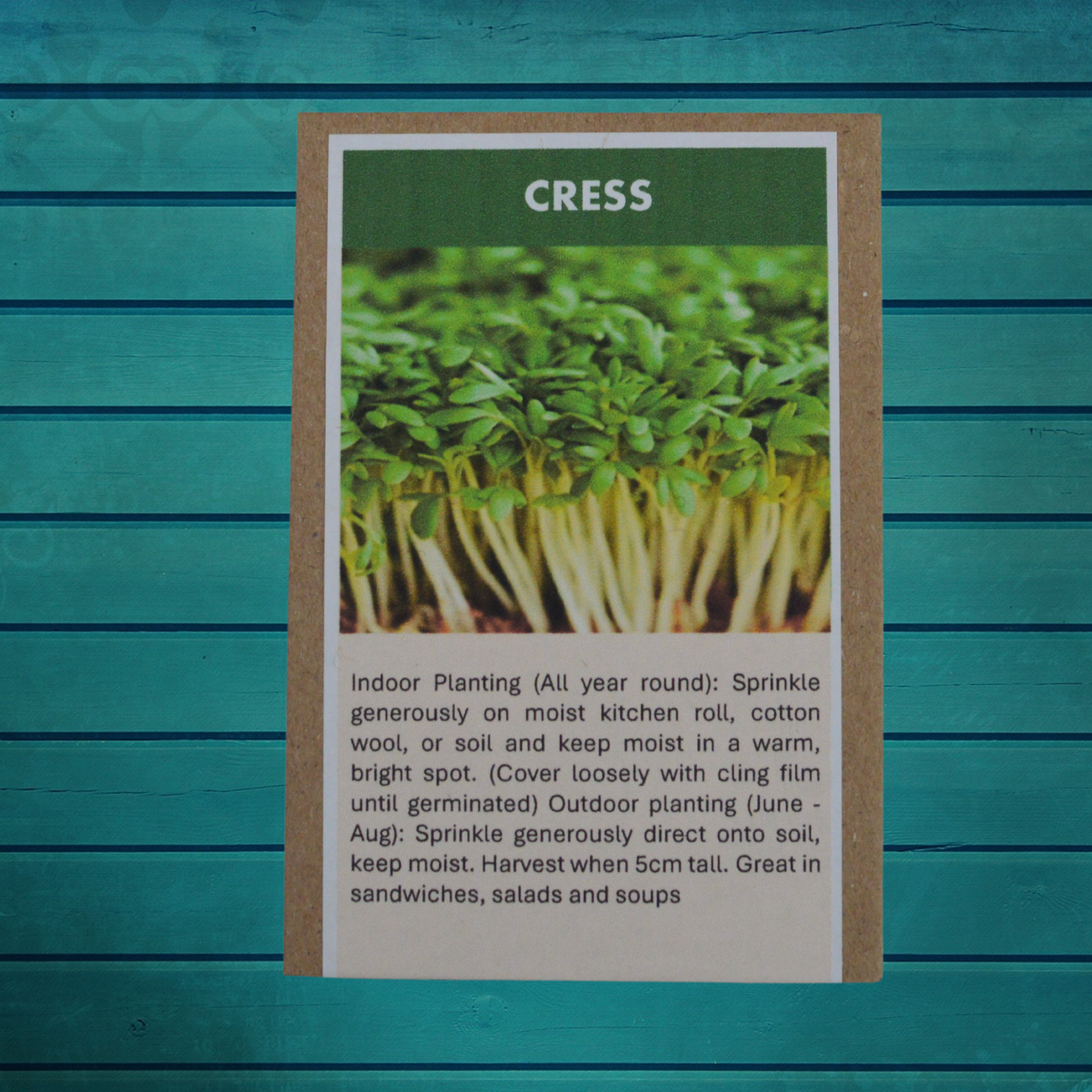 Indoor Gardening Seed Gift Set – Grow Herbs, Tomatoes & Spring Onions on Your Windowsill