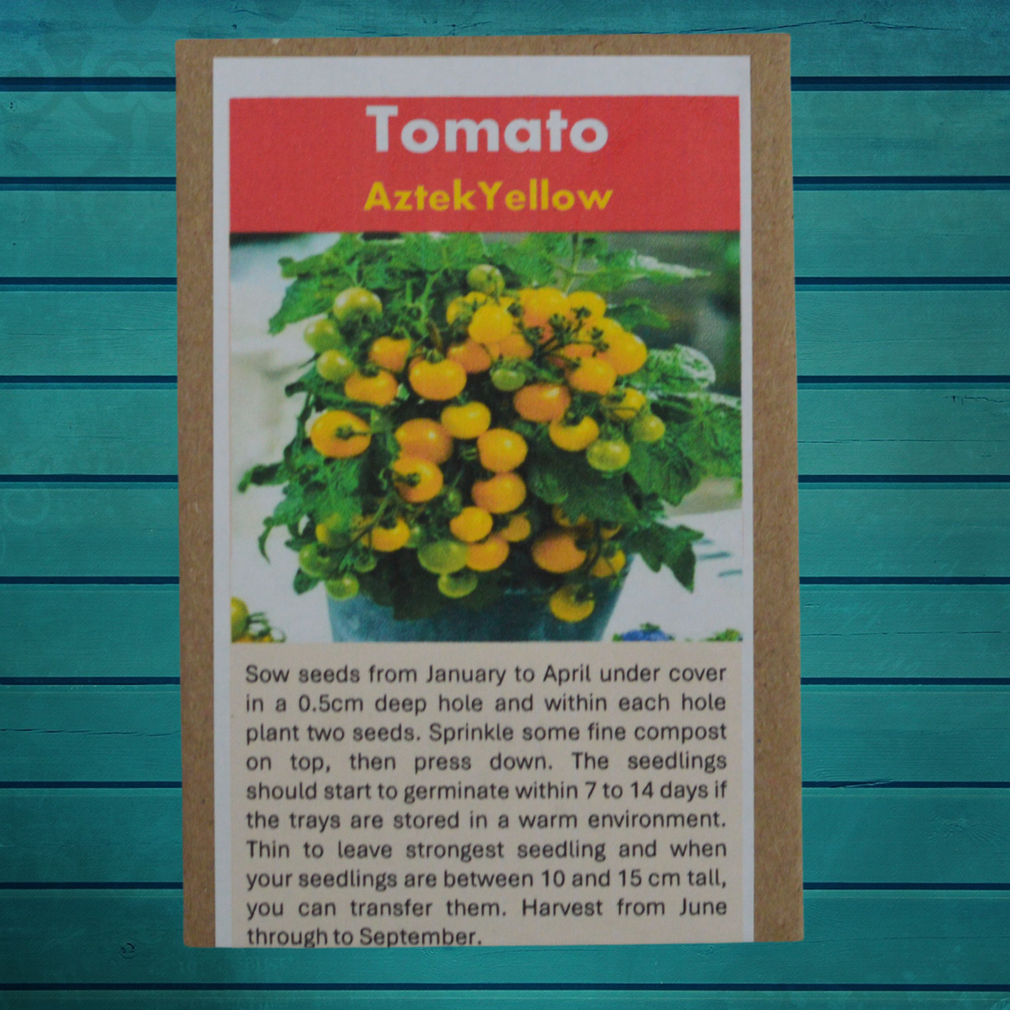 Indoor Gardening Seed Gift Set – Grow Herbs, Tomatoes & Spring Onions on Your Windowsill