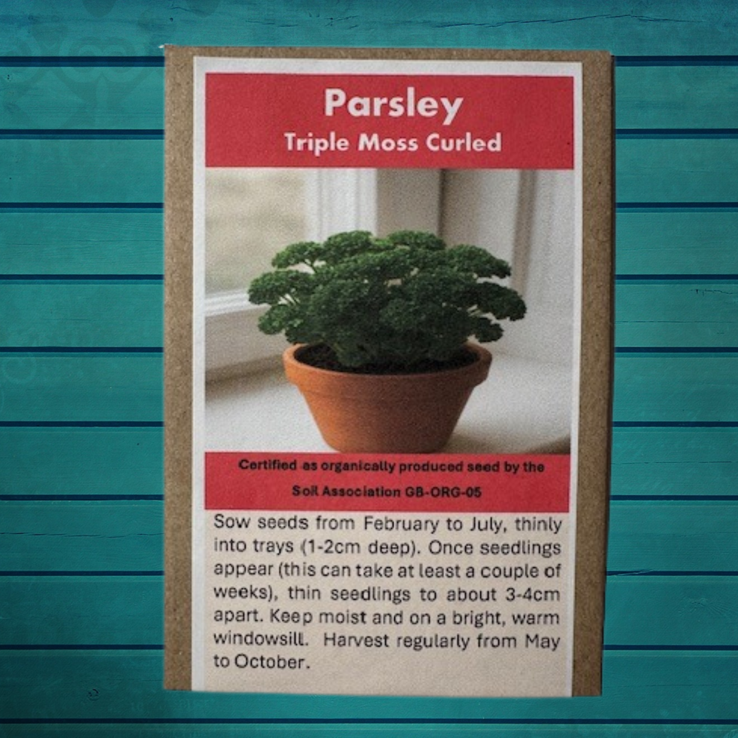 Indoor Gardening Seed Gift Set – Grow Herbs, Tomatoes & Spring Onions on Your Windowsill