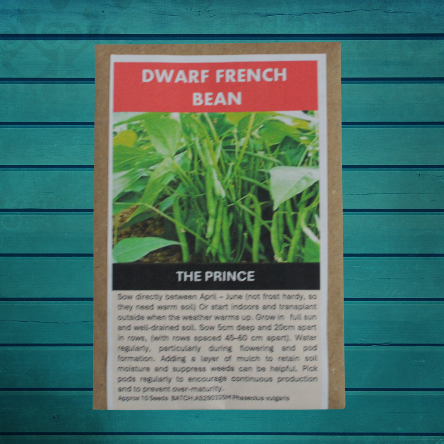 Container Gardener Seed Gift Set | 5 Seed Varieties in Jute Bag | Eco-Friendly Gardening Gift UK