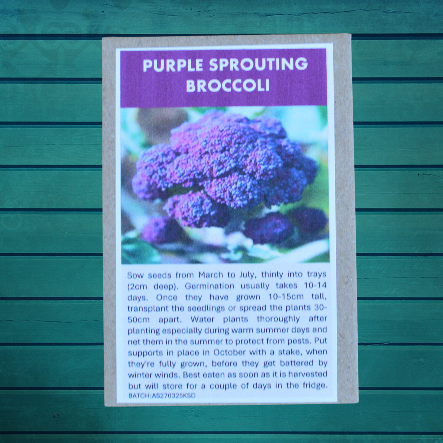 Allotment Gardener Gift Set – Premium Vegetable Seed Collection  Perfect for Allotments | Eco-Friendly Gift | Always Dispatched Next Business Day