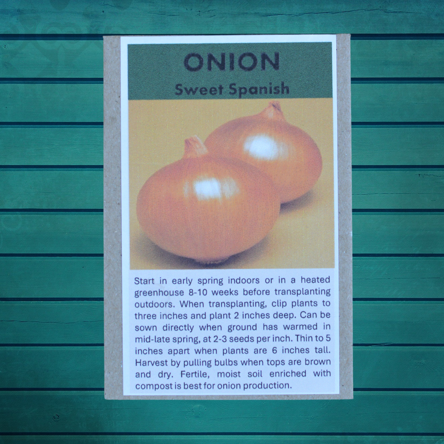 Allotment Gardener Gift Set – Premium Vegetable Seed Collection  Perfect for Allotments | Eco-Friendly Gift | Always Dispatched Next Business Day