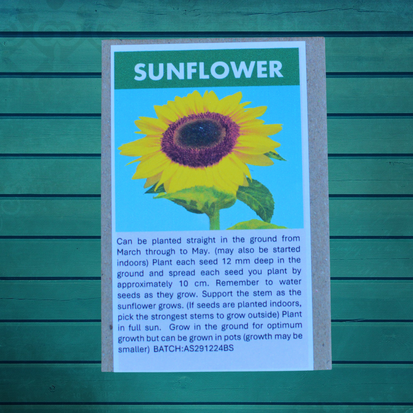 The Pollinator Gardener’s Seed Gift Set | Flower Seed Packs in Jute Bag for Bees & Butterflies | Always Dispatched Next Business Day
