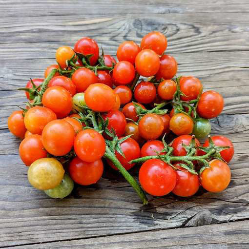 Tomato Seeds for Baskets, Hanging Baskets, Pots, Containers, Patios, Small Spaces | 15  Seeds 'Bajaja' Dwarf Tomatoes in Pictorial Packet With Growing Instructions | Always Dispatched Next Business Day