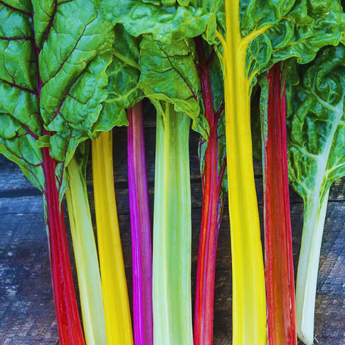 Rainbow Swiss Chard Seeds - Bright Lights - Colourful Vegetable (20-370 Seeds) | Always Dispatched Next Business Day