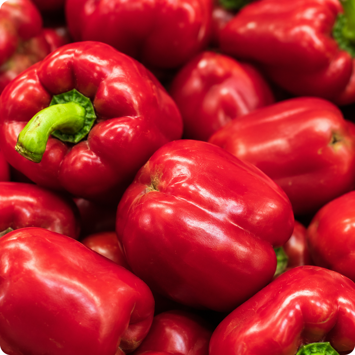 California Wonder Heritage Bell Pepper Seeds | 25 Premium Seeds in Pictorial Packet With Growing Instructions | Always Dispatched Next Business Day