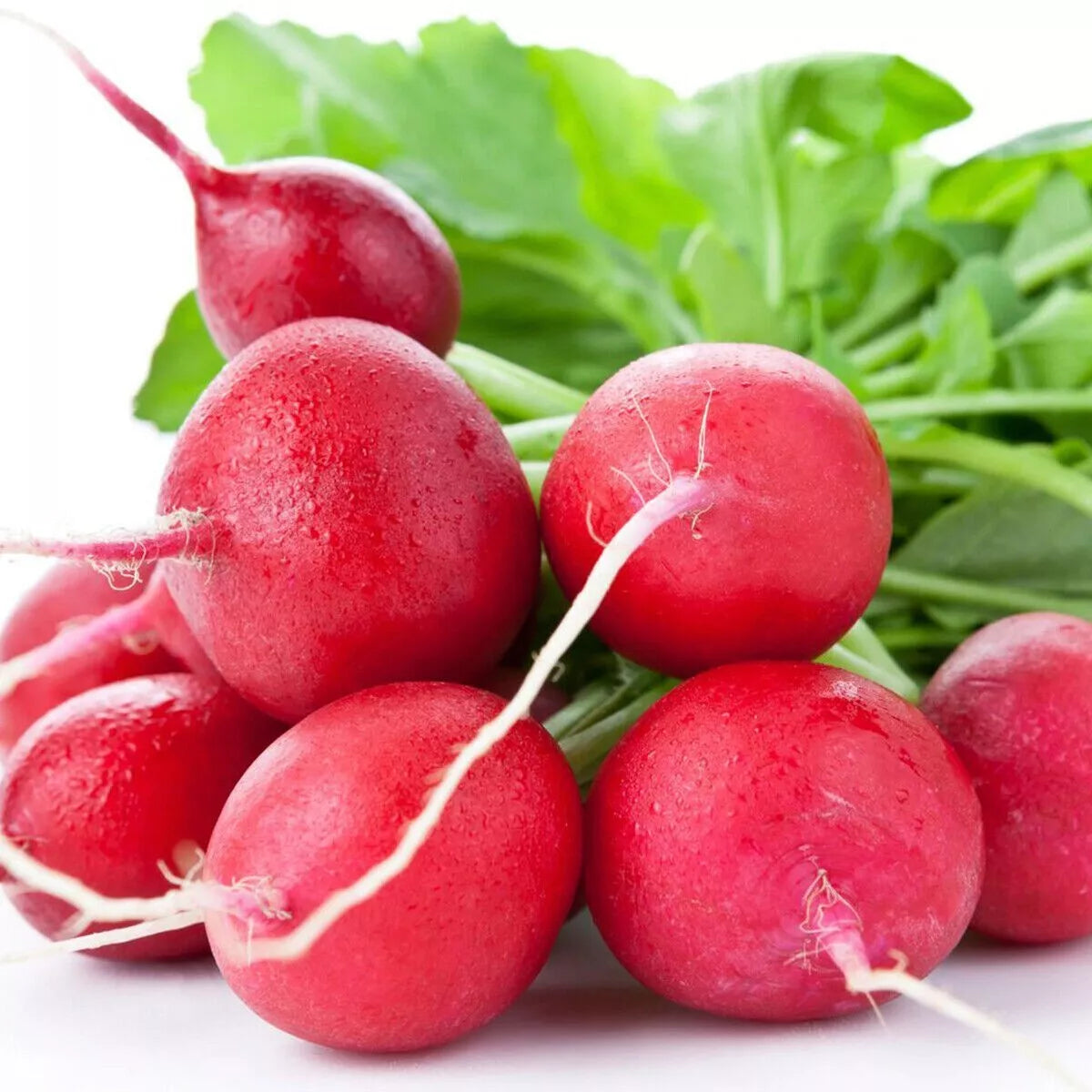 Radish - Cherry Belle Heritage | Fast and Easy to Grow | 350 Premium Heirloom Vegetable Seeds in Pictorial Packet With Growing Instructions | Always Dispatched Next Business Day