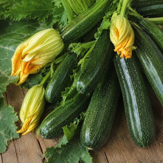 Courgette Seeds - All Green Bush | Compact, Great for Containers, Pots, Balconies or Ground | 15 seeds in Pictorial Packet With Growing Instructions | Always Dispatched Next Business Day