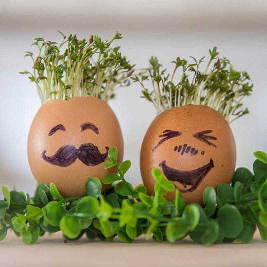 Cress Party Bag Favours Personalised | Childrens Parties | Easter Gift | Cress Heads | Grow Your Own Cress