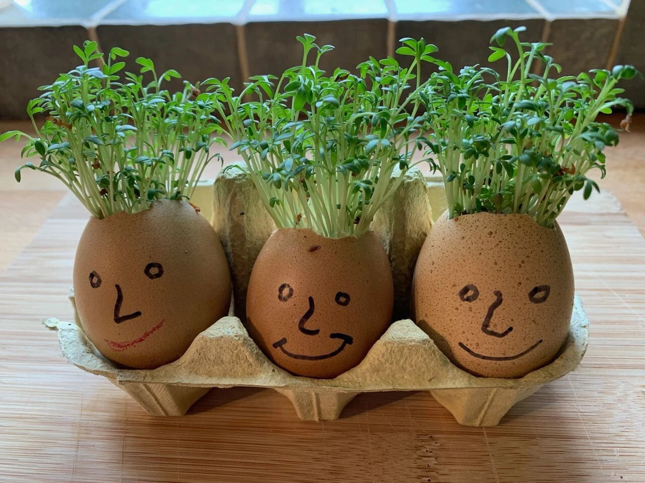 Cress Party Bag Favours Personalised | Childrens Parties | Easter Gift | Cress Heads | Grow Your Own Cress