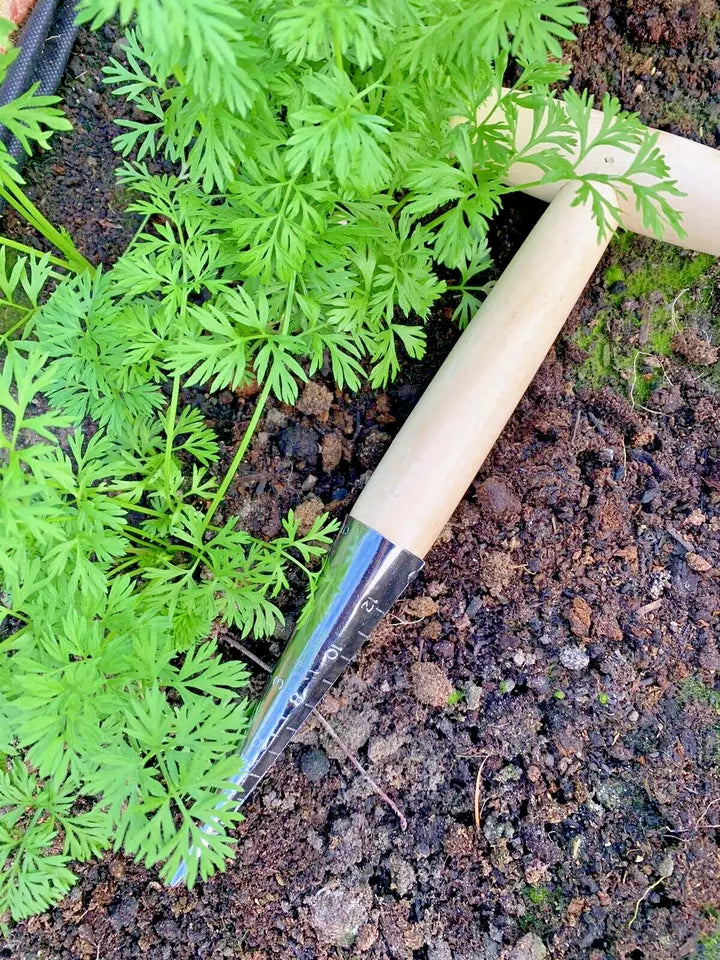 Wooden Handle Carbon Steel Garden Dibber – Bulb & Seed Planting Tool - Hole Puncher for Soil and Compost