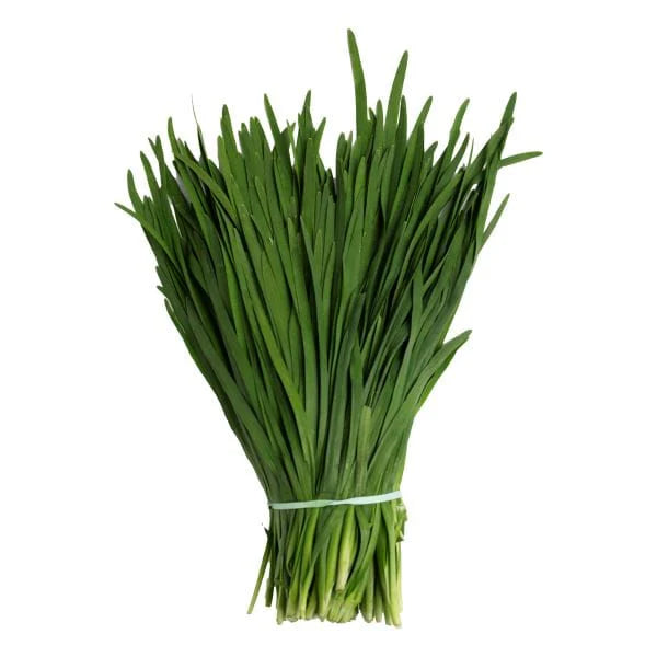 Garlic Chive Seeds | 100 Premium Heritage Seeds | Chinese Chives in Pictorial Packet | Always Dispatched Next Business Day