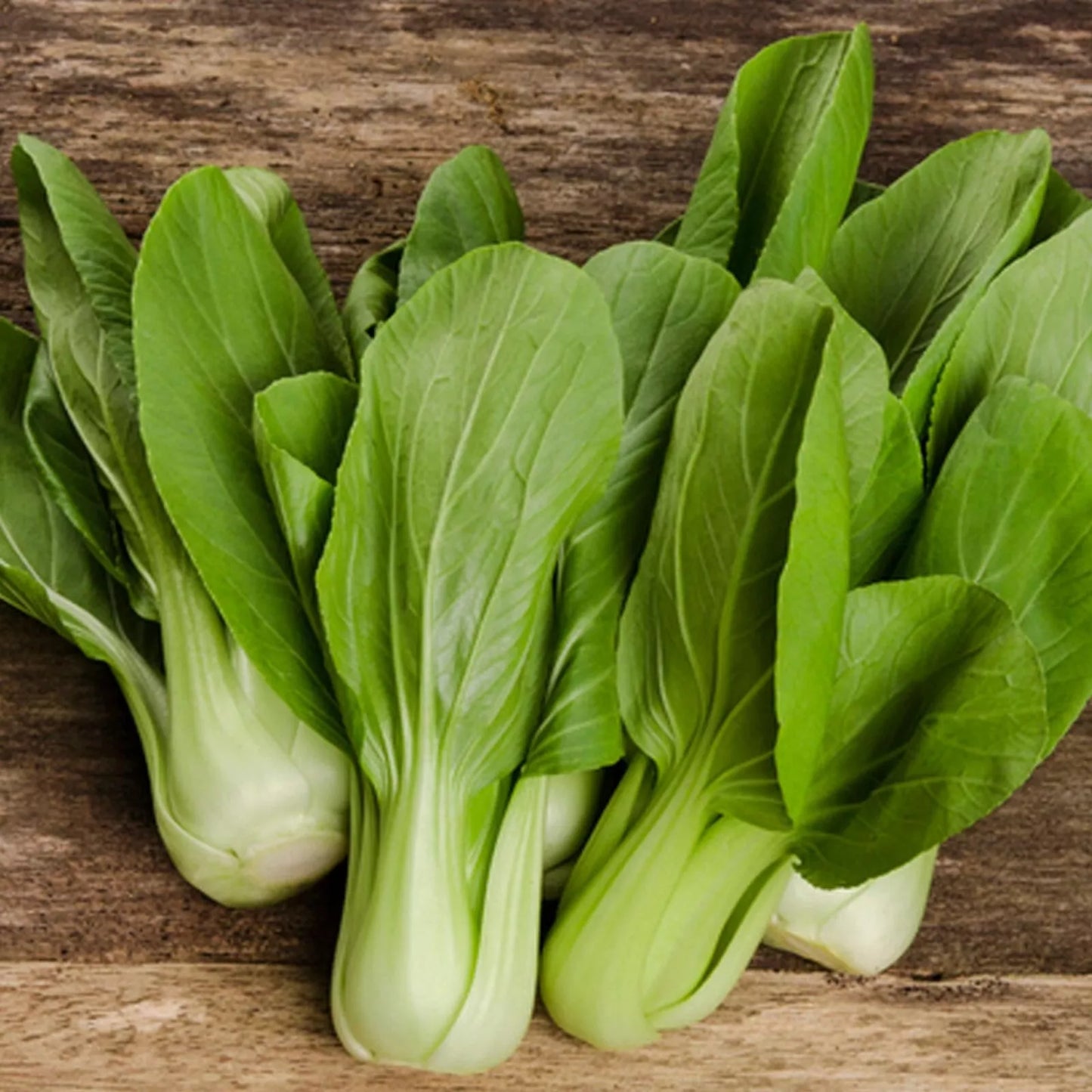 Pak Choi 'White Stem’ Vegetable Seeds | 200 Seeds in a Pictorial Packet With Growing Instructions | Always Dispatched Next Business Day