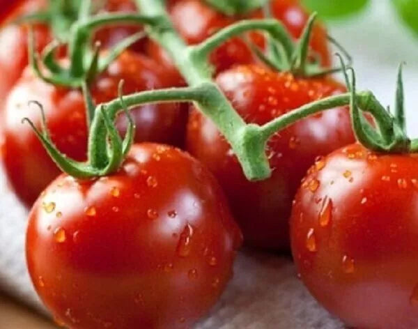 Tomato Seeds - Heirloom Piccolo Italian Cherry Tomatoes | Sweet, High Yield | 30 Seeds in Pictorial Packet With Growing Instructions | Always Dispatched Next Business Day