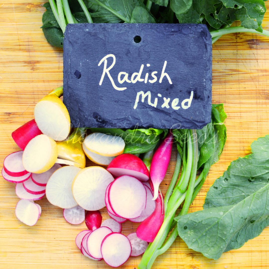 Radish Seeds - Fast Growing Vegetable Seeds | Mixed Rainbow - Cherry Belle, Golden Zlata, Pink Beauty & Albina | 400 Mixed Radish Seeds in Pictorial Packet With Growing Instructions | Always Dispatched Next Business Day
