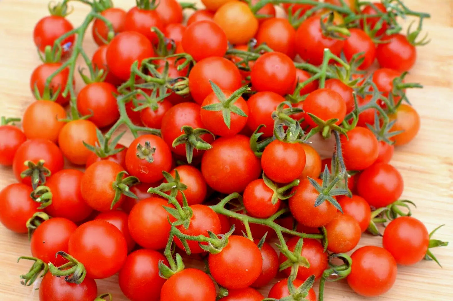 Tomato Seeds - Cherry Tomato | Sweet, Juicy, Heavy Cropper | 30 Rubinka Cherry Tomato Seeds in Pictorial Packet With Growing Instructions | Always Dispatched Next Business Day