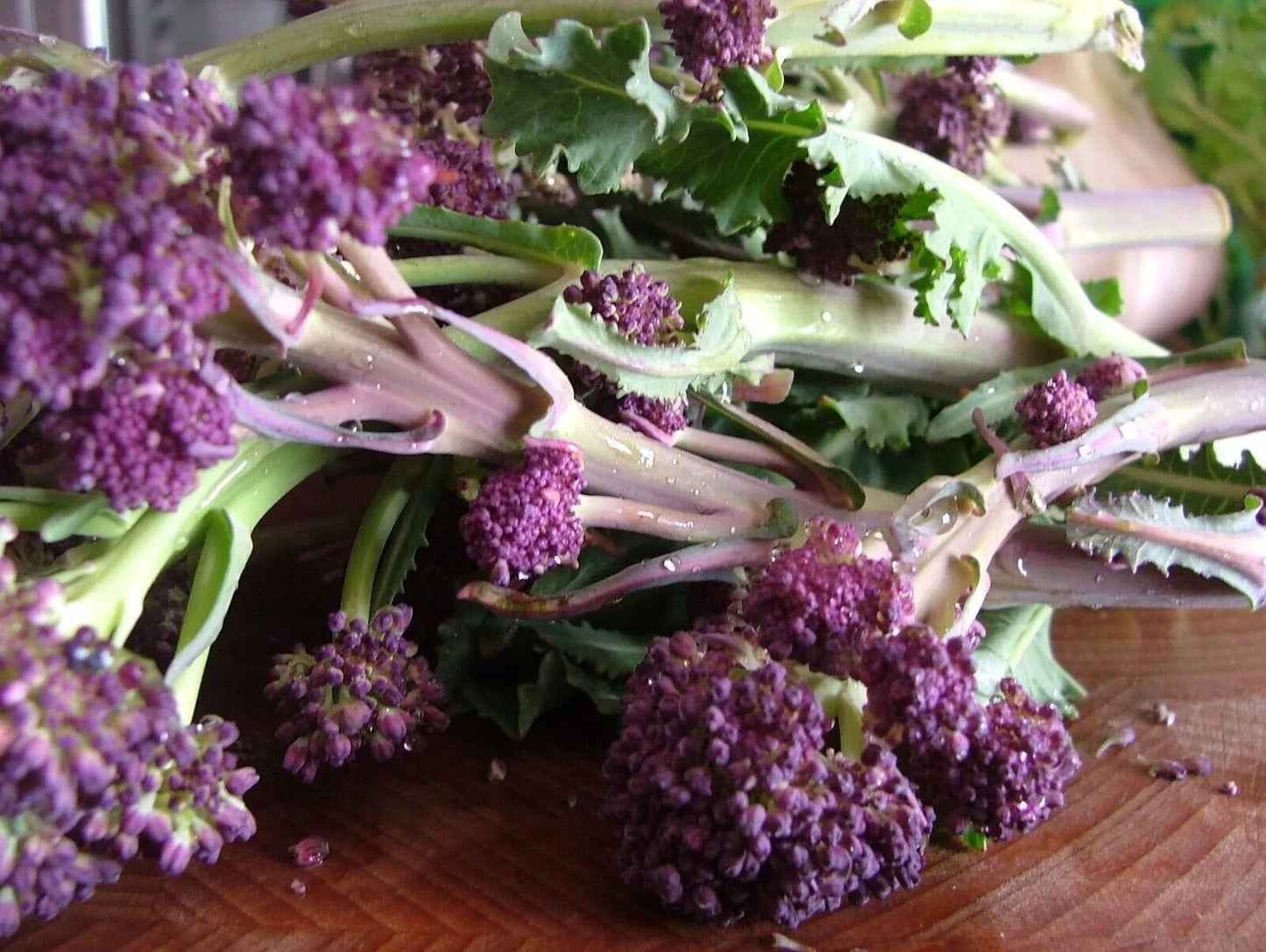 Purple Sprouting Broccoli Seeds: Winter Hardy, Early Variety | 250 Vegetable Seeds in Pictorial Packet With Growing Instructions | Always Next Business Day Dispatch