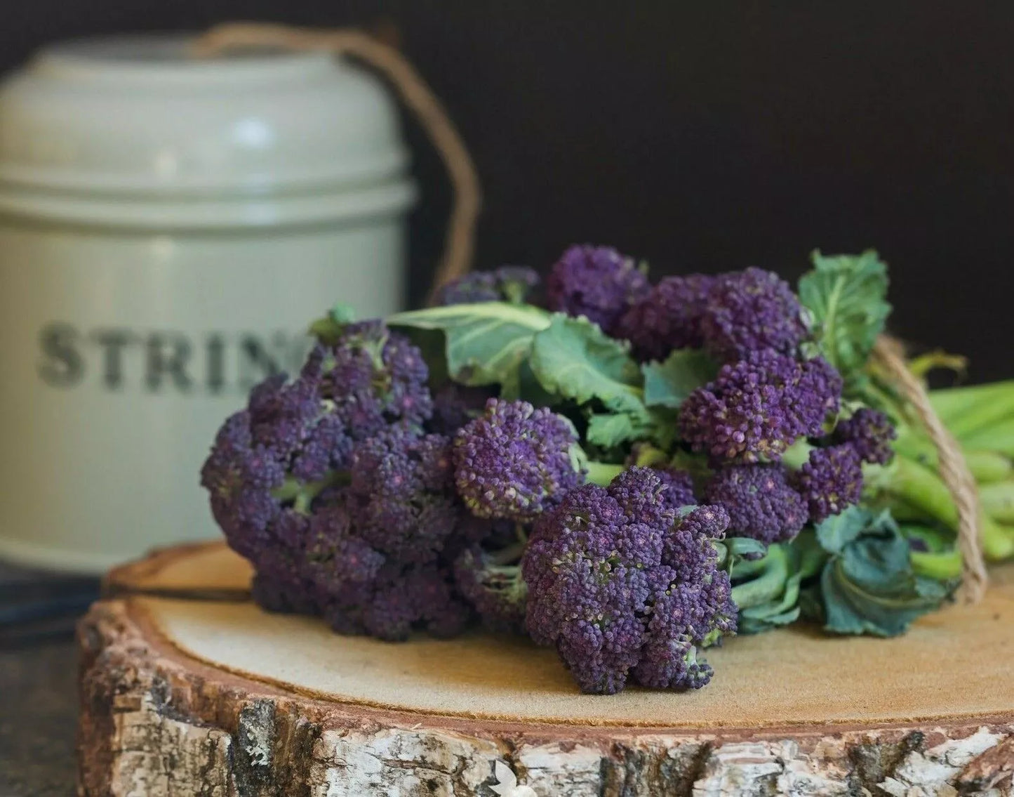Purple Sprouting Broccoli Seeds: Winter Hardy, Early Variety | 250 Vegetable Seeds in Pictorial Packet With Growing Instructions | Always Next Business Day Dispatch
