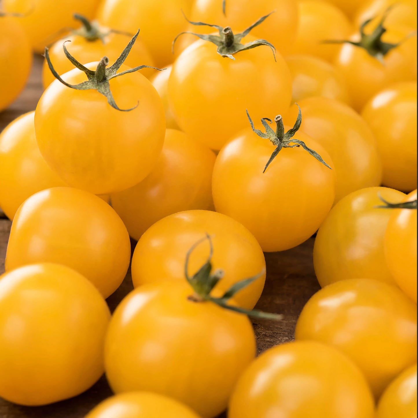 Tomato Seeds Bundle 4 Pack | Yellow Sunbaby, Piccolo, Gardener's Delight, Cherry Rubinka Tomatoes | In Pictorial Packet With Growing Instructions | Always Dispatched Next Business Day