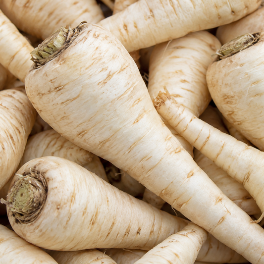 Parsnip Seeds - White Gem Vegetable | 700 Seeds in Pictorial Packet With Growing Instructions | Always Dispatched Next Business Day